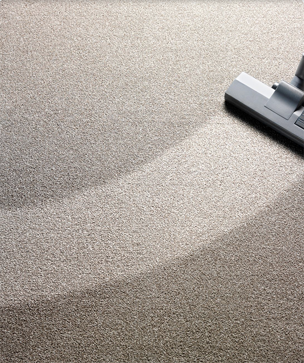 MissssaugaFloorCleaning